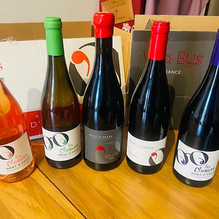 L'auberge De L'abbaye Penzion Sorde-lʼAbbaye